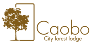 LOGO-CAOBO-300x150