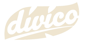 LOGO-DIVICO-1-300x150